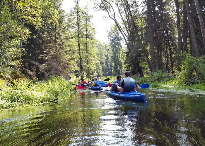 Domki Charzykowy Domek letniskowy Charzykowy